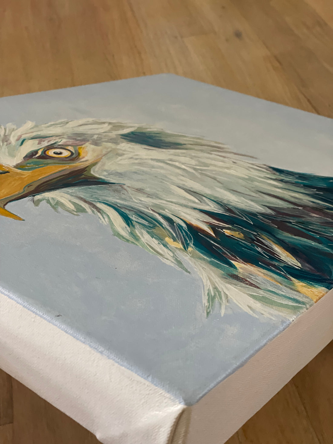 The Vision of the Bald Eagle