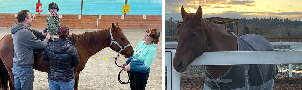 Hippotherapy...Is that therapy with Hippos?!